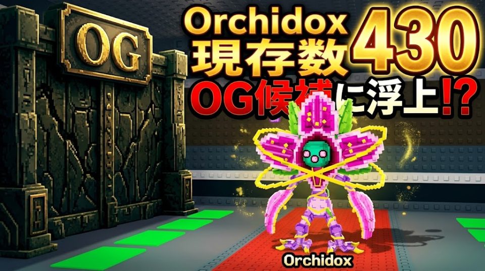 Orchidoxが現存数430体でOG候補に浮上?個体数公開ラッシュで見えたOGの壁